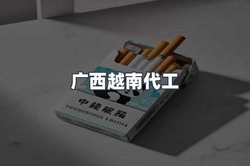 广西越南代工